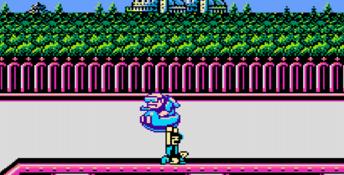 Totally Rad NES Screenshot