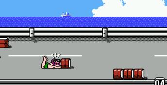 Town & Country Surf Designs NES Screenshot
