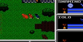 Ultima 5: Warriors of Destiny NES Screenshot