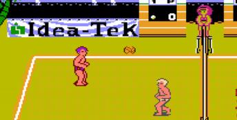 Venice Beach Volleyball NES Screenshot