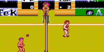 Venice Beach Volleyball NES Screenshot