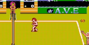 Venice Beach Volleyball NES Screenshot