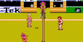 Venice Beach Volleyball NES Screenshot