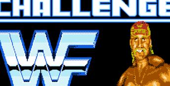 WWF WrestleMania: Steel Cage Challenge NES Screenshot