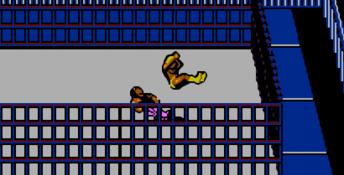 WWF WrestleMania: Steel Cage Challenge NES Screenshot