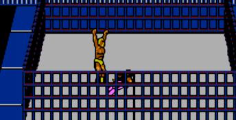 WWF WrestleMania: Steel Cage Challenge NES Screenshot