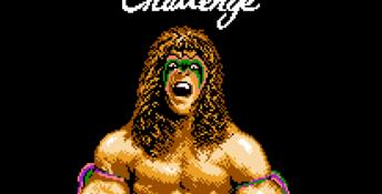 WWF WrestleMania Challenge