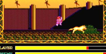 Ys 3: Wanderer from Ys PC Engine Screenshot