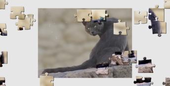 1001 Black Raven Jigsaw