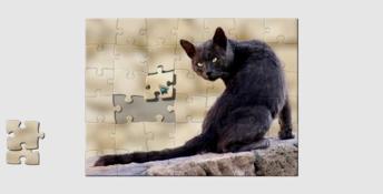 1001 Black Raven Jigsaw PC Screenshot