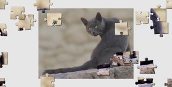 1001 Black Raven Jigsaw PC Screenshot