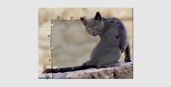 1001 Black Raven Jigsaw PC Screenshot