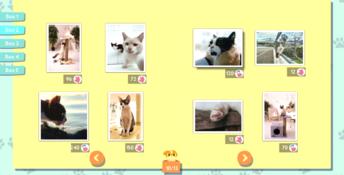 1001 Jigsaw. Cute Cats 2