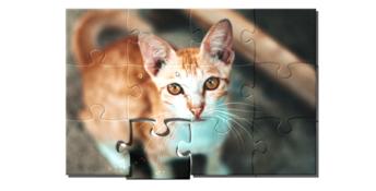 1001 Jigsaw. Cute Cats 2 PC Screenshot
