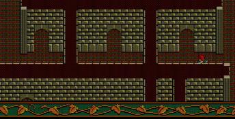 Ys I: Ancient Ys Vanished PC Screenshot