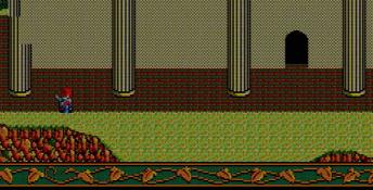 Ys I: Ancient Ys Vanished PC Screenshot