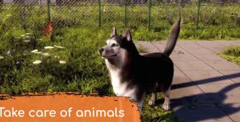 Animal Shelter 2