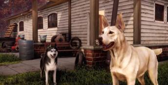 Animal Shelter 2 PC Screenshot