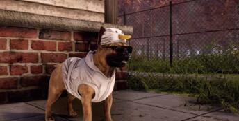 Animal Shelter 2 PC Screenshot