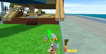 Backyard Skateboarding