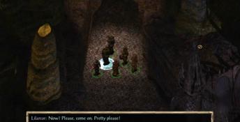Baldur's Gate II: Shadows of Amn PC Screenshot