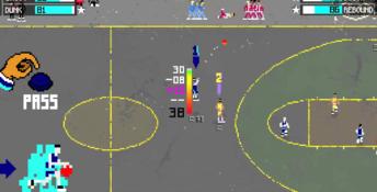 Basketball Classics PC Screenshot