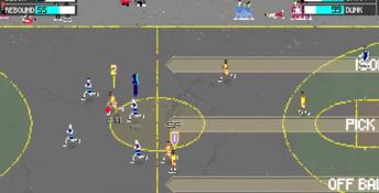 Basketball Classics PC Screenshot