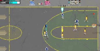 Basketball Classics PC Screenshot