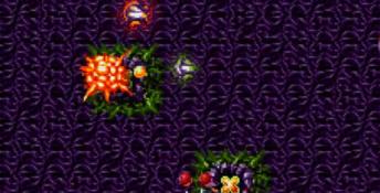Battle Squadron PC Screenshot