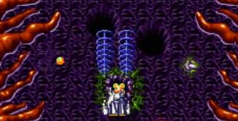 Battle Squadron PC Screenshot
