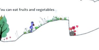Blueberry Garden