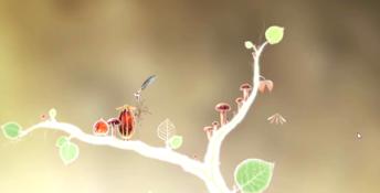 Botanicula