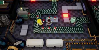 Bots & Belts