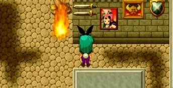 Bulma Adventure 2 PC Screenshot