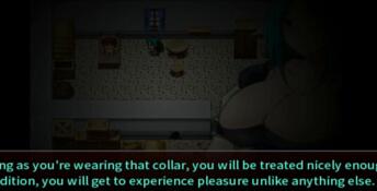 Cage of the Succubi PC Screenshot