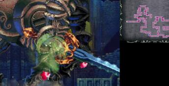 Castlevania: Order of Ecclesia PC Screenshot