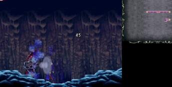 Castlevania: Order of Ecclesia PC Screenshot
