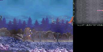 Castlevania: Order of Ecclesia PC Screenshot