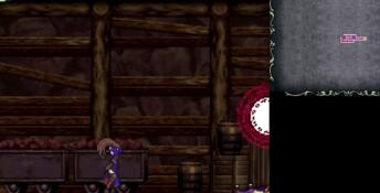 Castlevania: Order of Ecclesia PC Screenshot