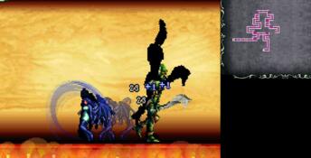 Castlevania: Order of Ecclesia PC Screenshot
