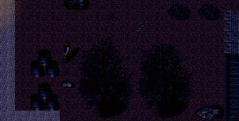 Cursed Town PC Screenshot