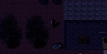 Cursed Town PC Screenshot