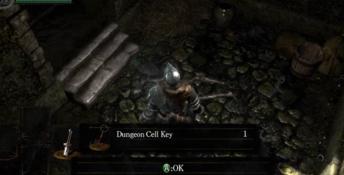 Dark Souls: Prepare to Die PC Screenshot