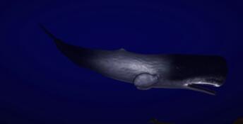DeepSea Serenity: VR Underwater Trip PC Screenshot