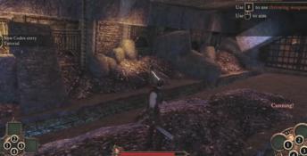Demonicon PC Screenshot