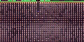 Devil’s Dungeon PC Screenshot