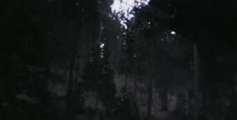 DON'T SCREAM