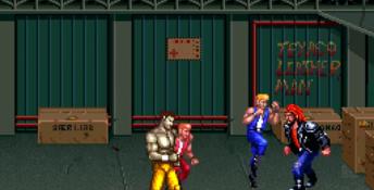 Double Dragon 3: The Arcade Game PC Screenshot