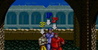 Double Dragon 3: The Arcade Game PC Screenshot