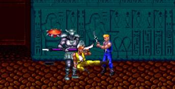 Double Dragon 3: The Arcade Game PC Screenshot